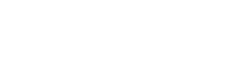 Numero dedicato